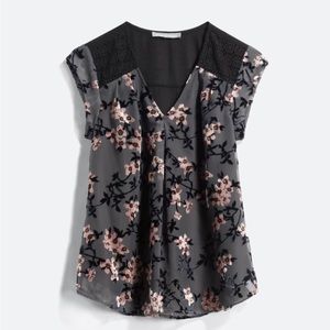 Unique and beautiful velvet burnout blouse by Daniel Rainn in size medium